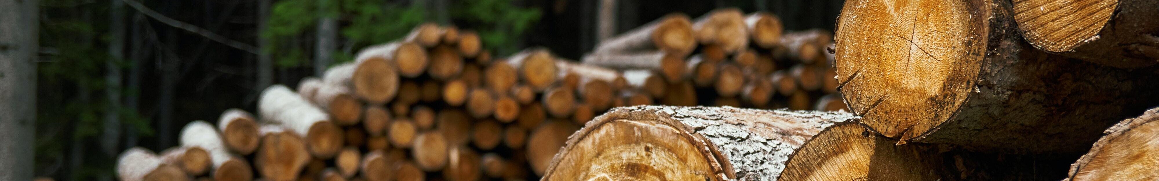 Timber Value Assessment + Harvest Planning